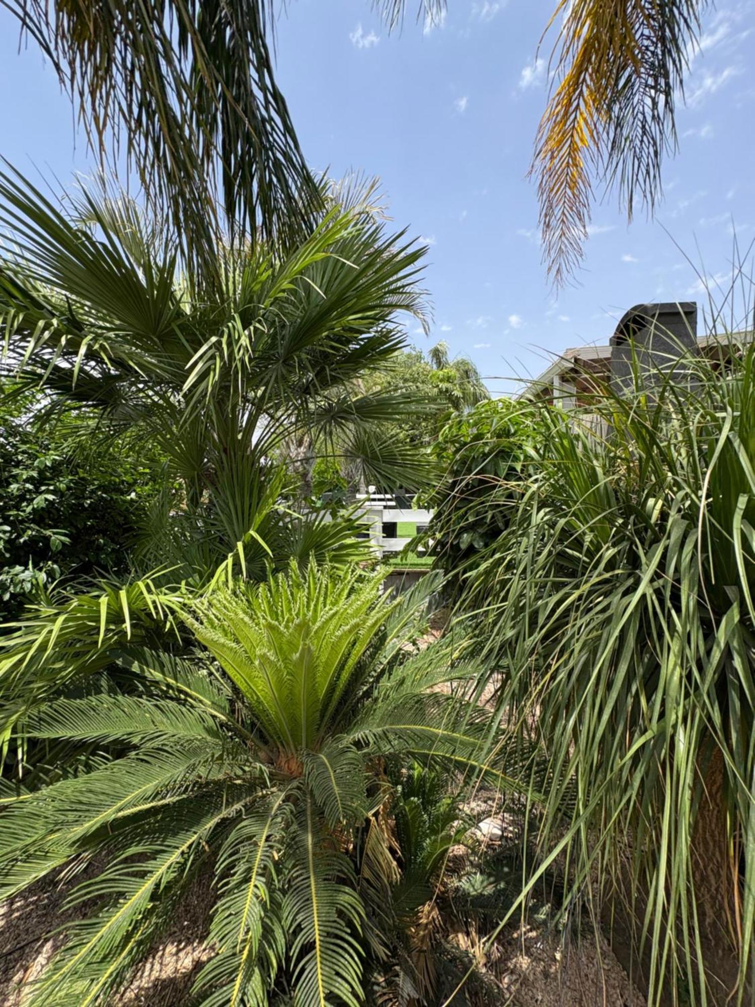 Kesem Bagolan Vila Had Nes Exterior foto