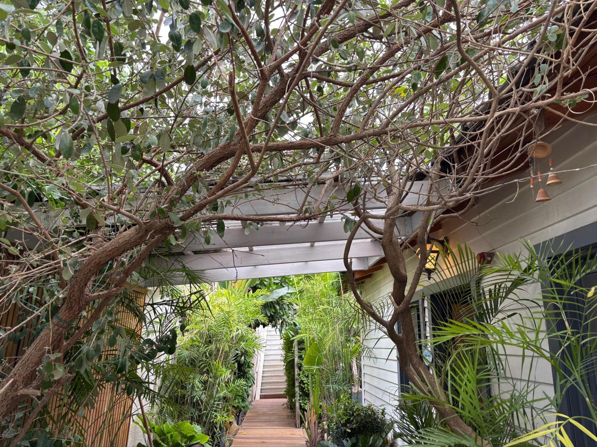 Kesem Bagolan Vila Had Nes Exterior foto
