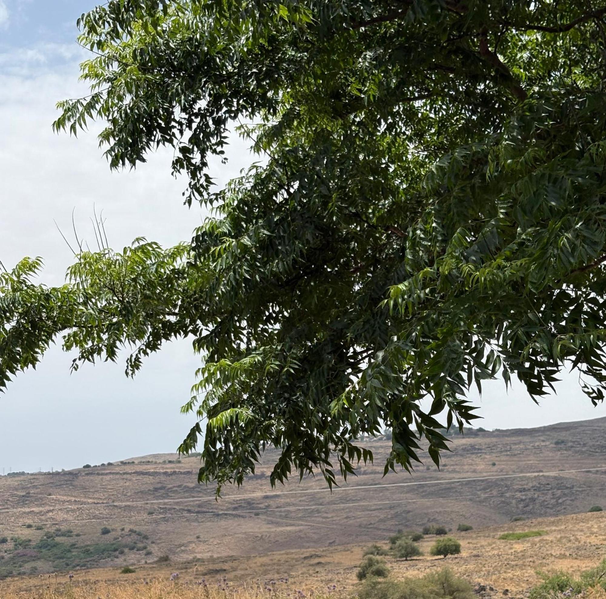 Kesem Bagolan Vila Had Nes Exterior foto