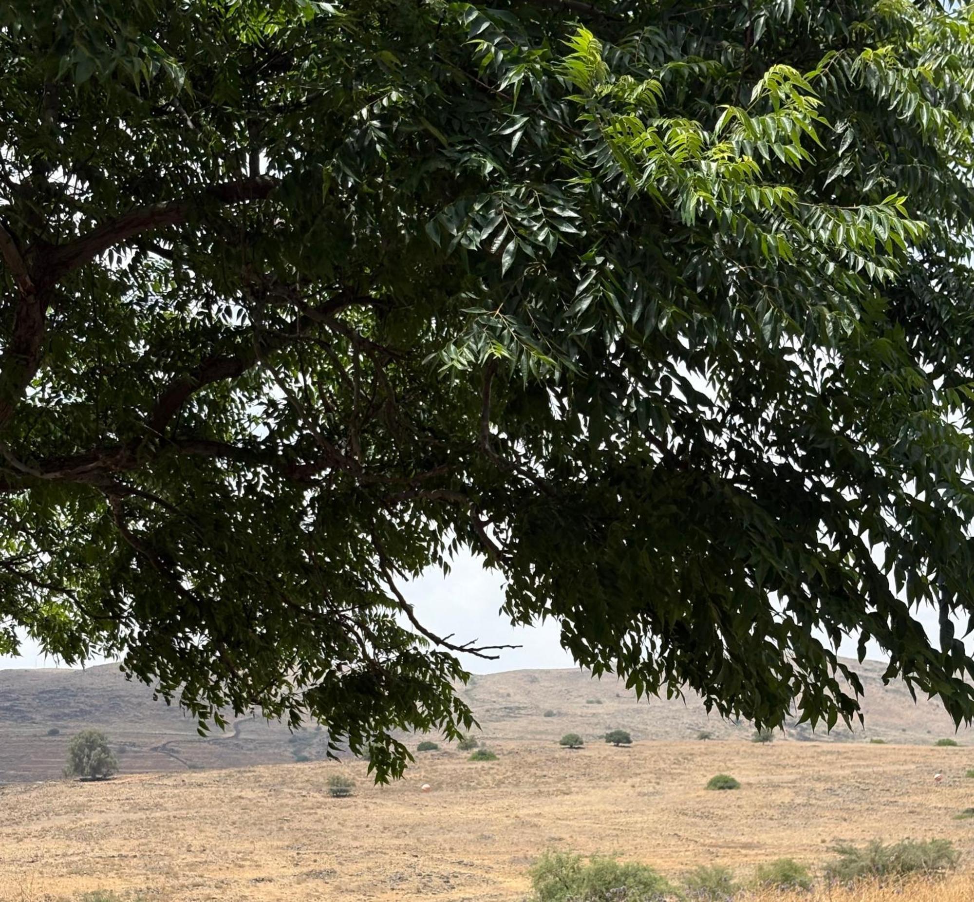 Kesem Bagolan Vila Had Nes Exterior foto